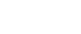 Google Review Logo White