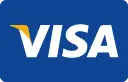 Visa card Icon